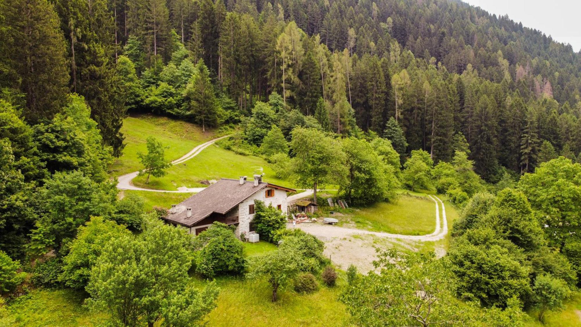 Luxury Chalet Dolomiti-Campiglio-Trentino Porte di Rendena Εξωτερικό φωτογραφία