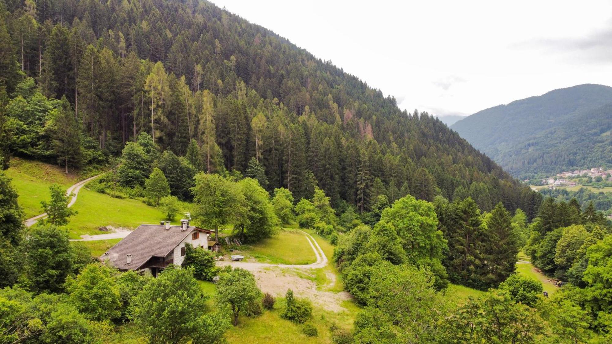 Luxury Chalet Dolomiti-Campiglio-Trentino Porte di Rendena Εξωτερικό φωτογραφία